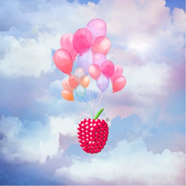Himbeerparty Birthday Special