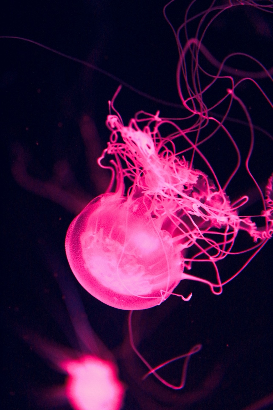 FLUID – Queer & Gay Rave Experience